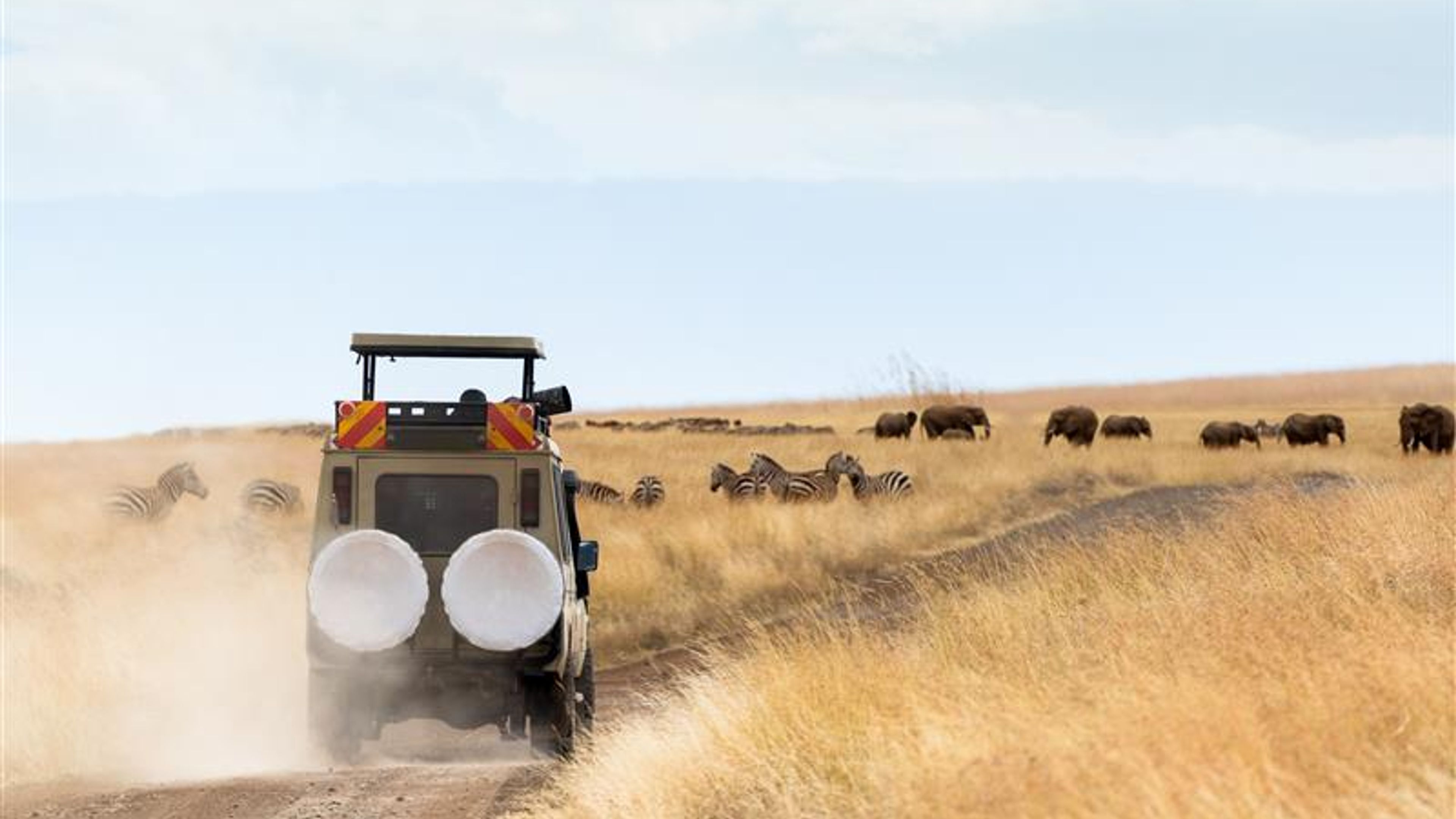 A safari vehicle